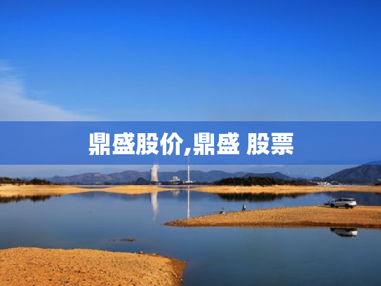 鼎盛股价,鼎盛 股票