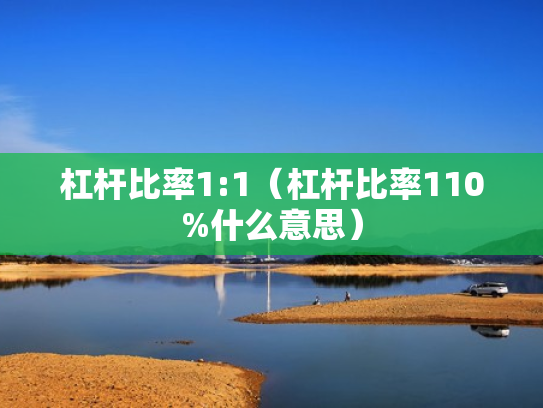 杠杆比率1:1（杠杆比率110%什么意思）