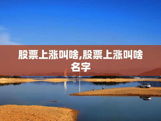 股票上涨叫啥,股票上涨叫啥名字