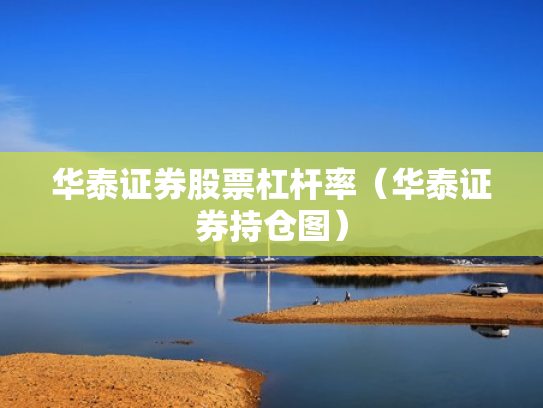 华泰证券股票杠杆率（华泰证券持仓图）