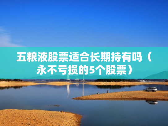 五粮液股票适合长期持有吗（永不亏损的5个股票）