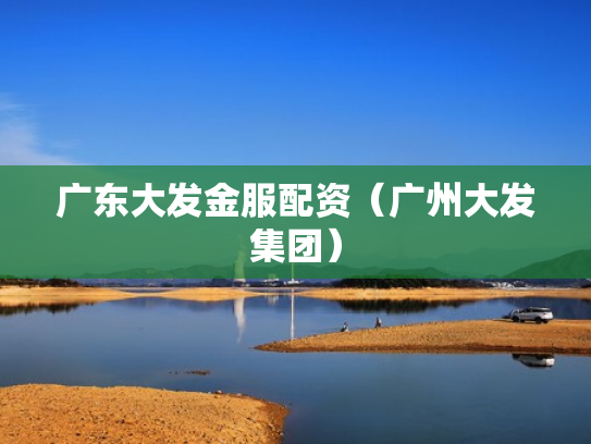 广东大发金服配资（广州大发集团）