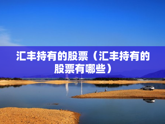 汇丰持有的股票（汇丰持有的股票有哪些）