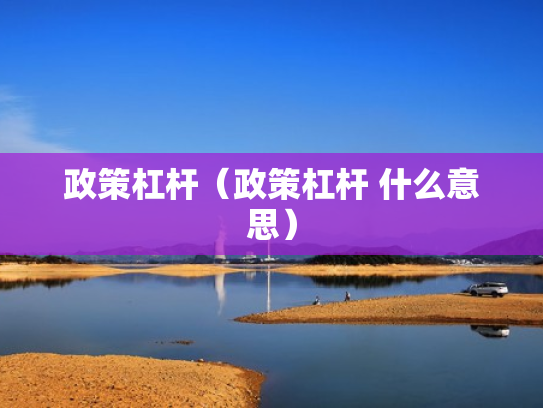 政策杠杆（政策杠杆 什么意思）