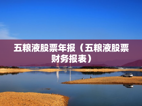 五粮液股票年报（五粮液股票财务报表）