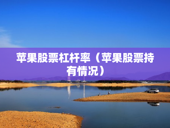 苹果股票杠杆率（苹果股票持有情况）