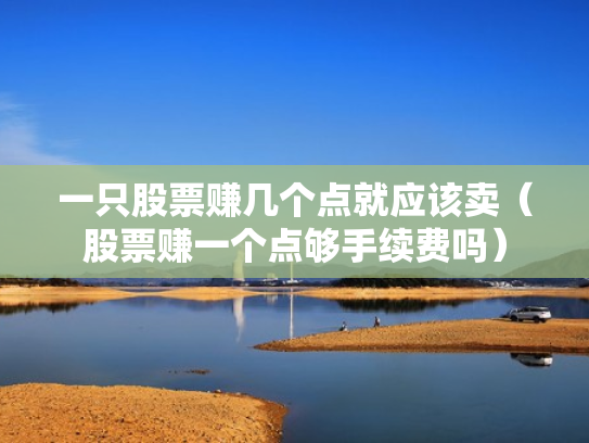 一只股票赚几个点就应该卖（股票赚一个点够手续费吗）