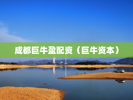 成都巨牛盈配资（巨牛资本）