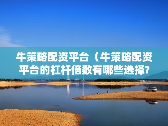 牛策略配资平台（牛策略配资平台的杠杆倍数有哪些选择?）