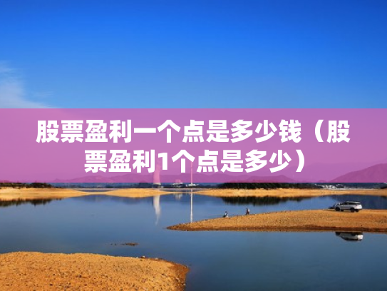 股票盈利一个点是多少钱（股票盈利1个点是多少）