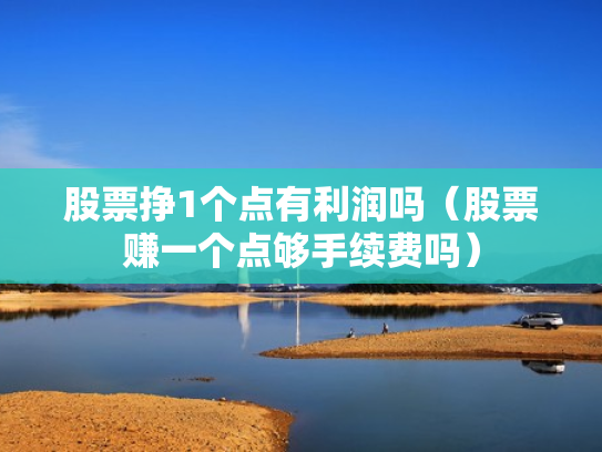 股票挣1个点有利润吗（股票赚一个点够手续费吗）