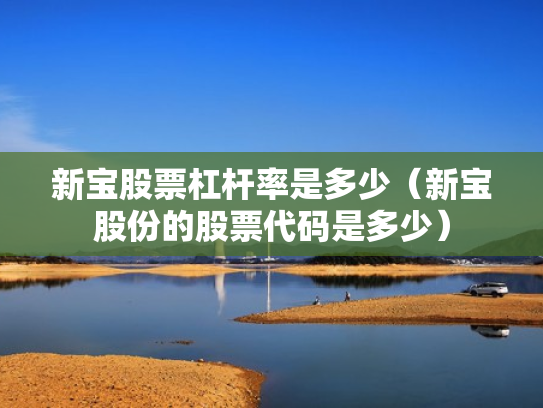 新宝股票杠杆率是多少（新宝股份的股票代码是多少）