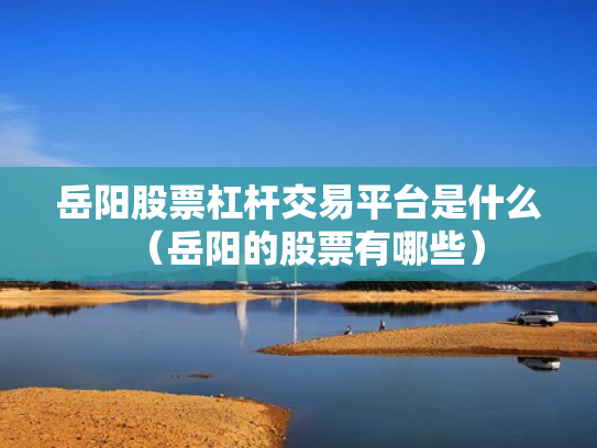 岳阳股票杠杆交易平台是什么（岳阳的股票有哪些）