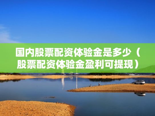国内股票配资体验金是多少（股票配资体验金盈利可提现）